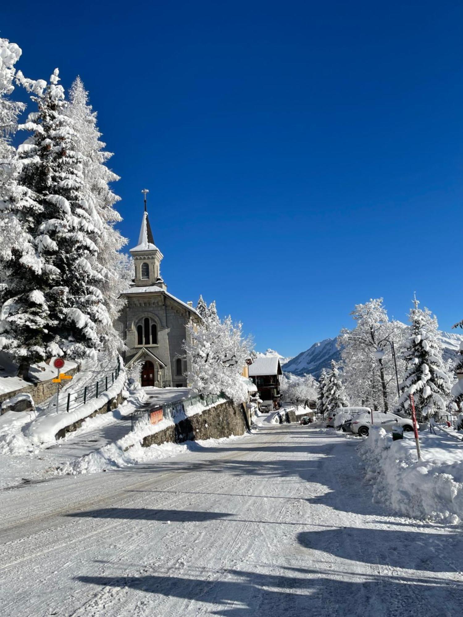 Charmant Appartement Au Vagabond Leysin Dış mekan fotoğraf