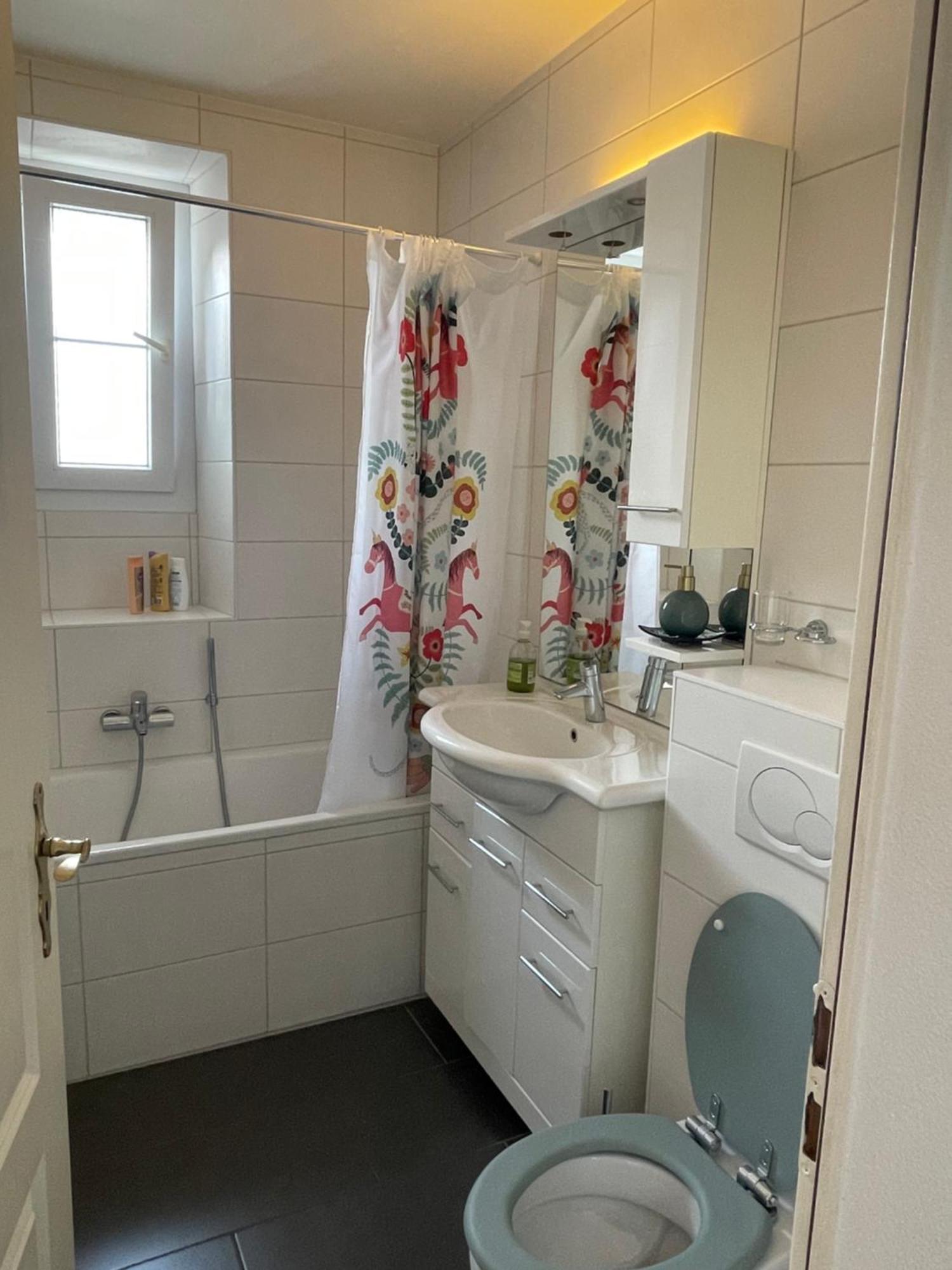 Charmant Appartement Au Vagabond Leysin Dış mekan fotoğraf